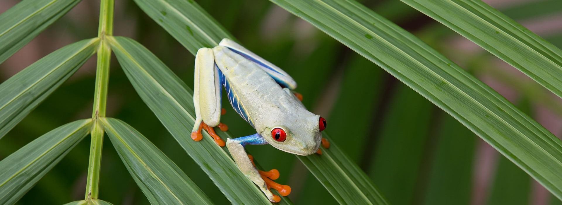 Costa Rica
