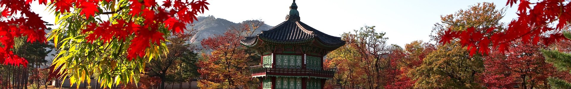 form background image