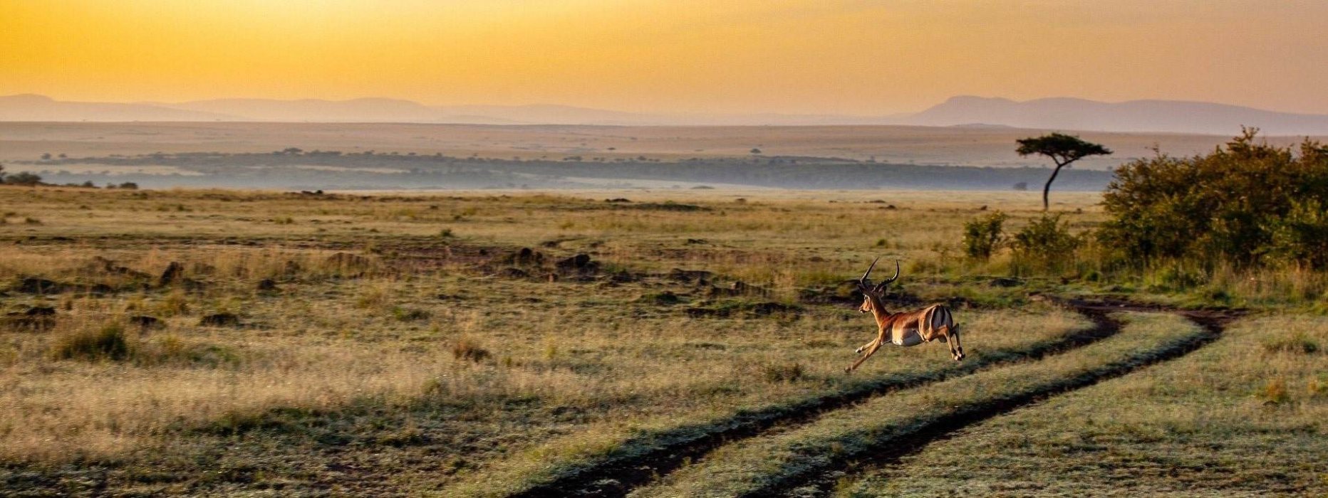 Voyage sur-mesure, Kenya 