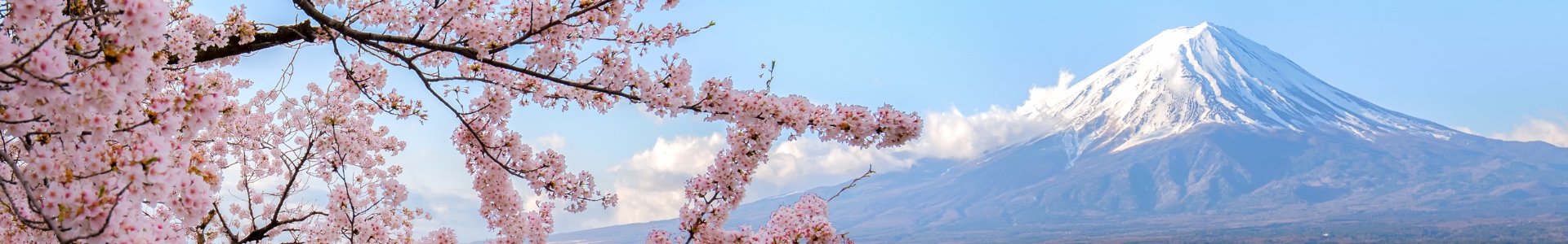 form background image