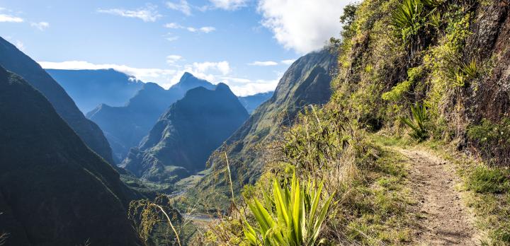 Voyage sur-mesure, Des nouvelles de notre correspondant à La Réunion