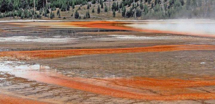 Voyage sur-mesure, Les clefs d'un séjour réussi au parc de Yellowstone