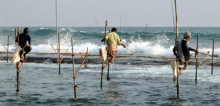 Voyage sur-mesure, De retour du Sri Lanka