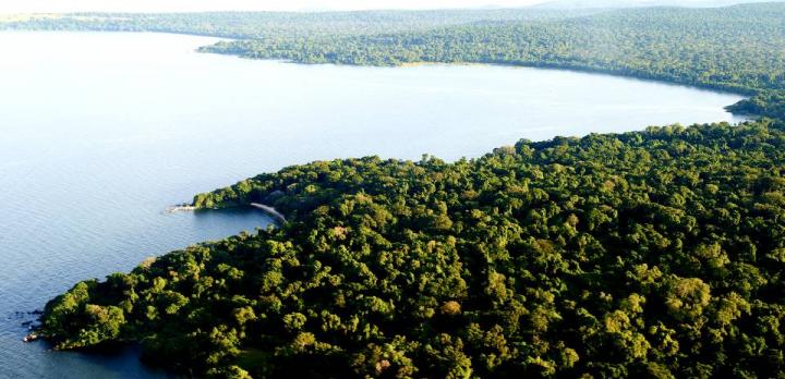 Voyage sur-mesure, Rubondo Island : la Tanzanie hors des sentiers battus