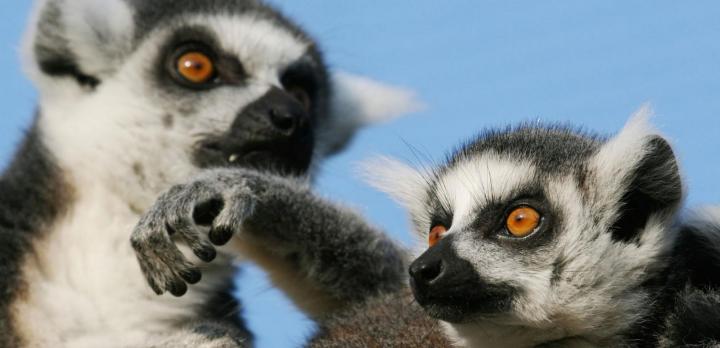 Voyage sur-mesure, Interview de nos spécialistes Madagascar après leur voyage de repérage