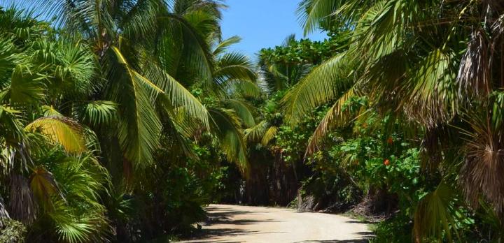 Voyage sur-mesure, 3 coups de cœur en voyage au Yucatan !