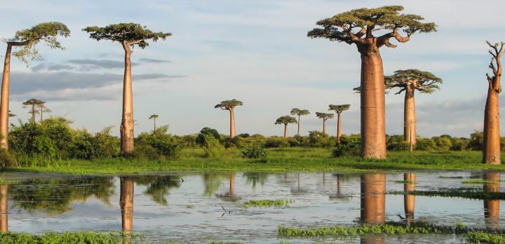 Voyage sur-mesure, Ghislaine partage avec nous son voyage à Madagascar