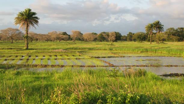 Voyage sur-mesure, La Casamance, pourquoi est-ce à part ?