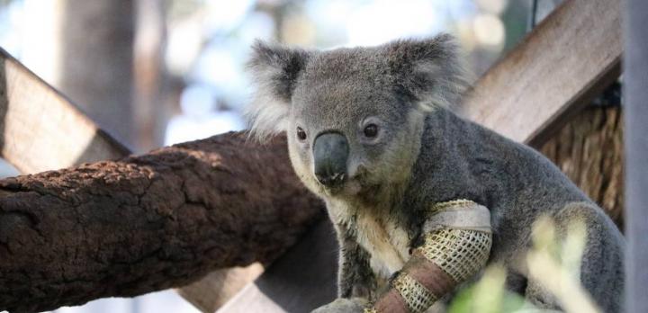 Voyage sur-mesure, L’Australie sans courir, les coulisses d’un repérage en Nouvelle Galles du Sud