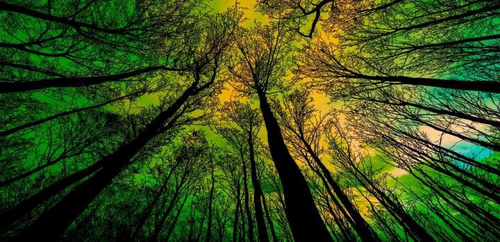 Voyage sur-mesure, Aurores boréales : Les secrets des pro