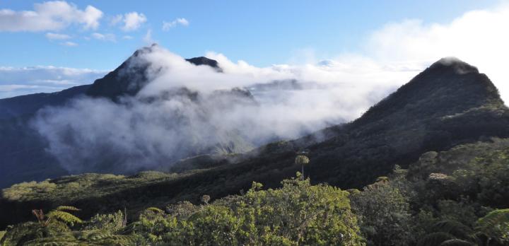 Voyage sur-mesure, Svenja à La Réunion