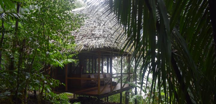 Voyage sur-mesure, Séjour au Chiminos Lodge dans la Lagune de Petexbatun