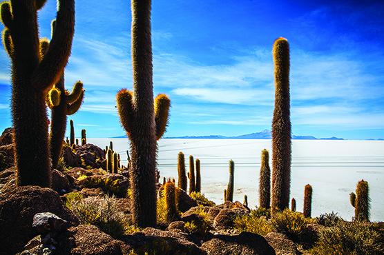 Voyage sur-mesure, Bolivie : nos sites insolites favoris !