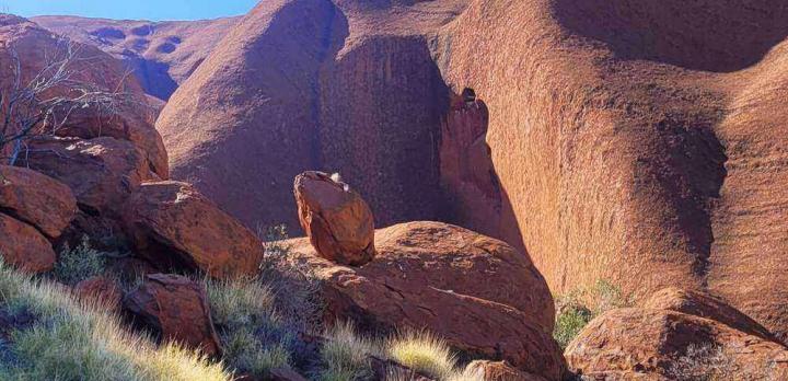 Voyage sur-mesure, Récit de notre échappée belle dans le Centre rouge (Kata Tjuta, Ayers rock, Kings Canyon), par Christine et son ado de 16 ans