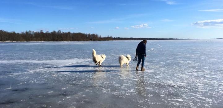 Voyage sur-mesure, La Laponie en hiver pour un séjour multi-activités !