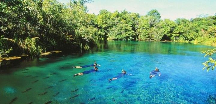 Voyage sur-mesure, Vivre une experience nature exceptionnelle dans le Pantanal