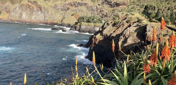 Voyage sur-mesure, Mon voyage de repérage aux Açores