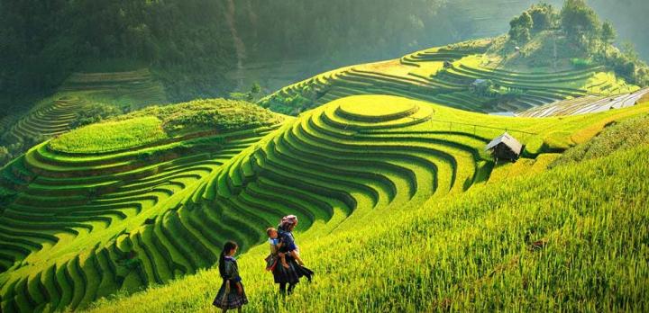 Voyage sur-mesure, Que faire à Sapa, au Vietnam ?