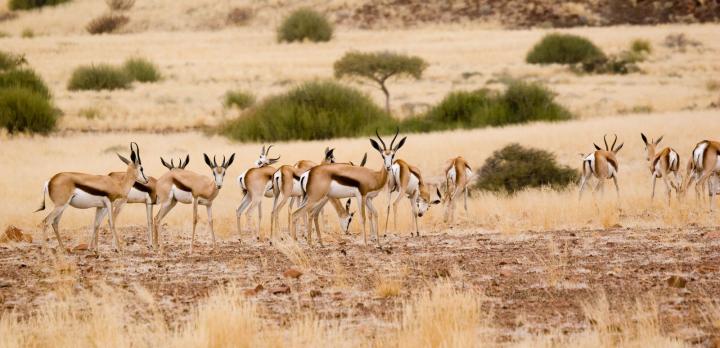 Voyage sur-mesure, Namibie, Le récit d'un voyage de repérage par notre conseillère Nolwenn