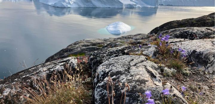 Voyage sur-mesure, INTERVIEW - Ciprian au Groenland, une aventure entre glace et culture