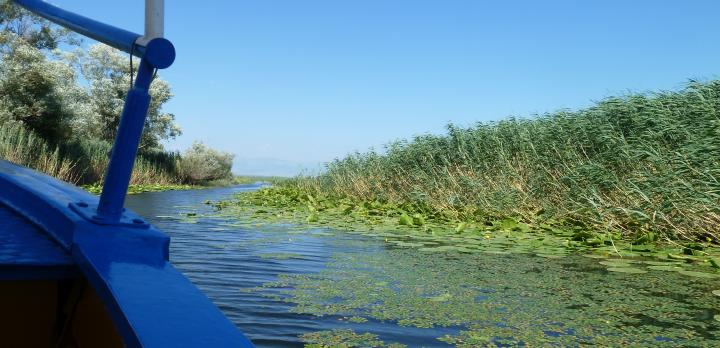 Voyage sur-mesure, Croisière en barque Lac de Skadar