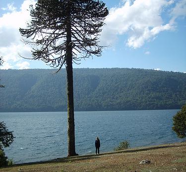 Voyage sur-mesure, Au départ de la Ruka version tranquile