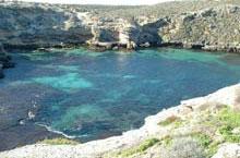 Voyage sur-mesure, Perth, Visite de Rottnest Island en Vélo - Journée