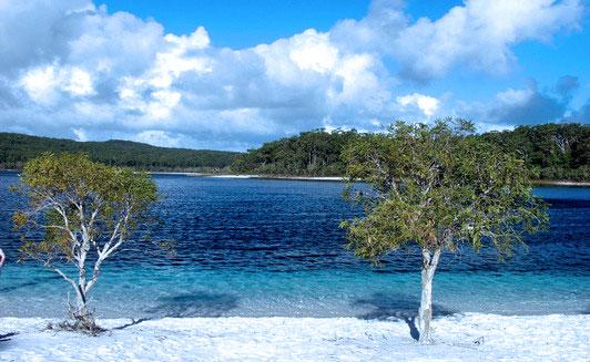 Voyage sur-mesure, Sunshine Coast, découverte de Fraser Island - 2 Jours et 1 nuit