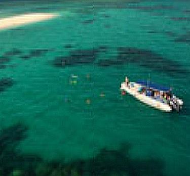 Voyage sur-mesure, Cape Tribulation, la Grande Barrière de Corail en zodiac - Demi journée