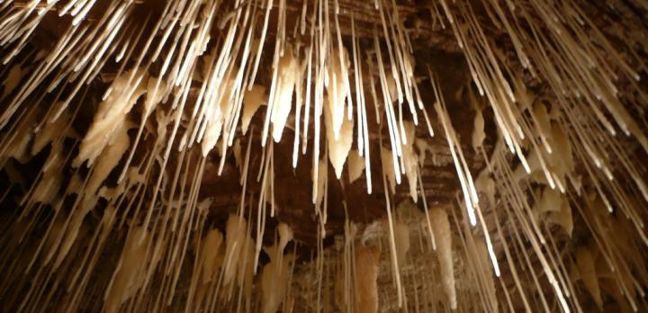 Voyage sur-mesure, Margaret River, visite des grottes de Ngilgi - Demi journée