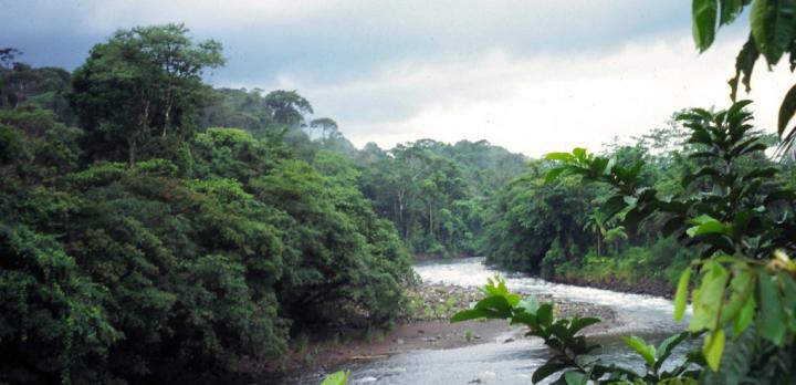 Voyage sur-mesure, Rafting Rio Sarapiqui (en service regroupé)