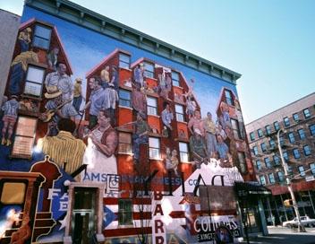 Voyage sur-mesure, Visite d'Harlem avec guide francophone