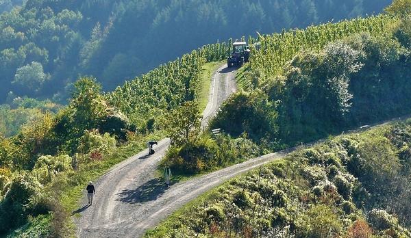 Voyage sur-mesure, Conduite de tracteur vintage