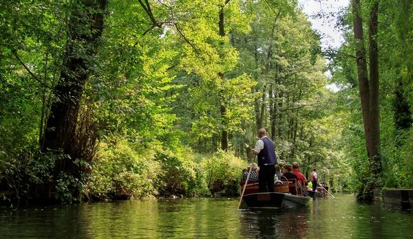 Voyage sur-mesure, Navigation en pleine forêt à 1h de Berlin