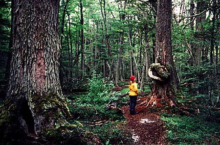 Voyage sur-mesure, Parc National de Terre de Feu (Journée)