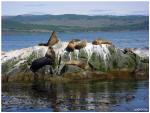 Voyage sur-mesure, Navigation sur le Canal Beagle