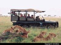 Voyage sur-mesure, Game drive en réserve privée sud Kruger