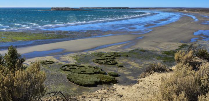 Voyage sur-mesure, Découverte de la Péninsule Valdès
