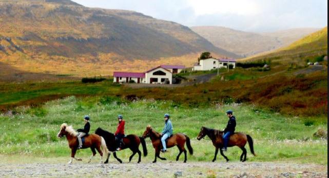 Voyage sur-mesure, Ferme dans les fjords du Nord Ouest