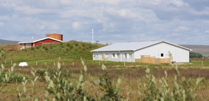 Voyage sur-mesure, Maison d'hôtes au Golden Circle