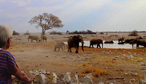 Voyage sur-mesure, Au Sud d'Etosha, un point d'eau...