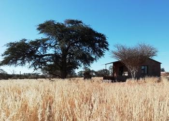 Voyage sur-mesure, Lodge typique du Kalahari