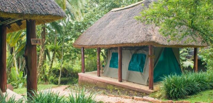Voyage sur-mesure, Lodge de tentes à Kibale
