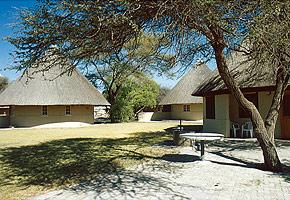 Voyage sur-mesure, Camp au sud d'Etosha