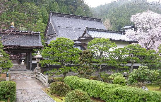 Voyage sur-mesure, Monastère au Mont Koya