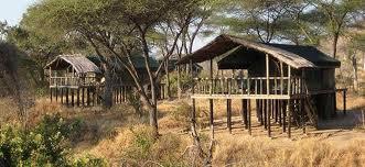 Voyage sur-mesure, Camp de tentes supérieur à Ruaha