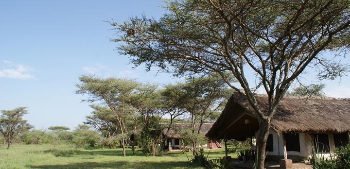 Voyage sur-mesure, Tented Lodge dans la région de Ikoma