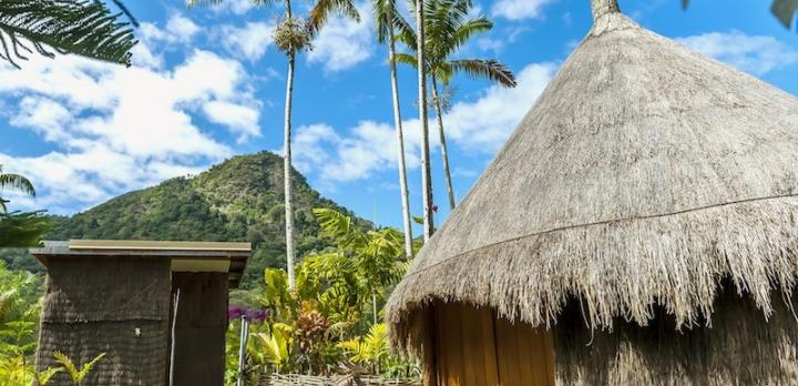 Voyage sur-mesure, Gîte à Sarraméa dans un beau jardin
