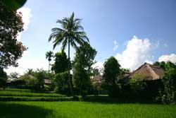 Voyage sur-mesure, Hôtel de charme au dessus d'Ubud