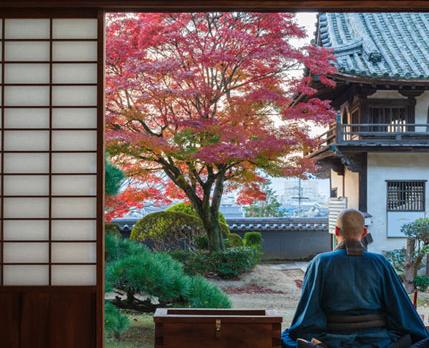 Voyage sur-mesure, Le Japon autrement, la région de Chugoku : Hiroshima, Okayama, Matsue